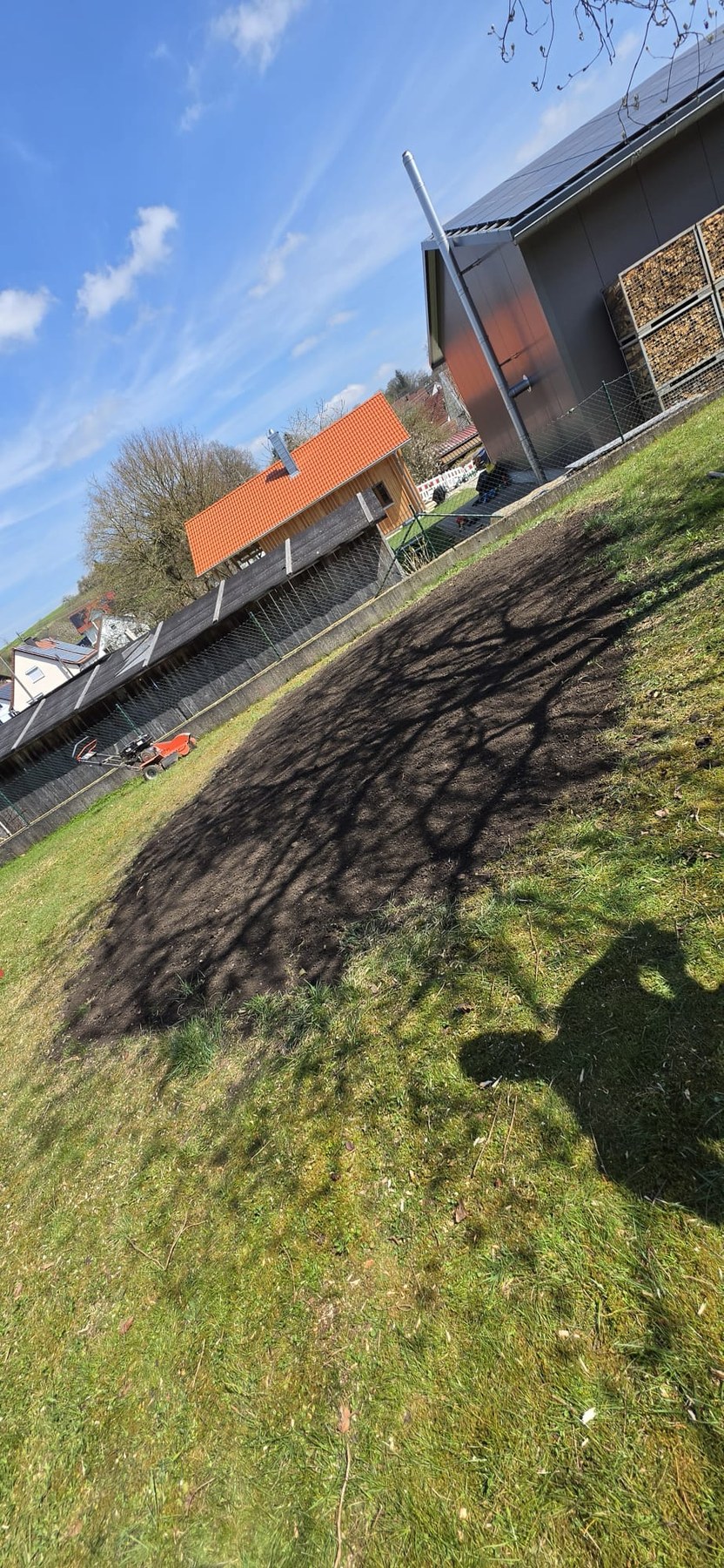 Bereich nach einer Wurzelentfernung