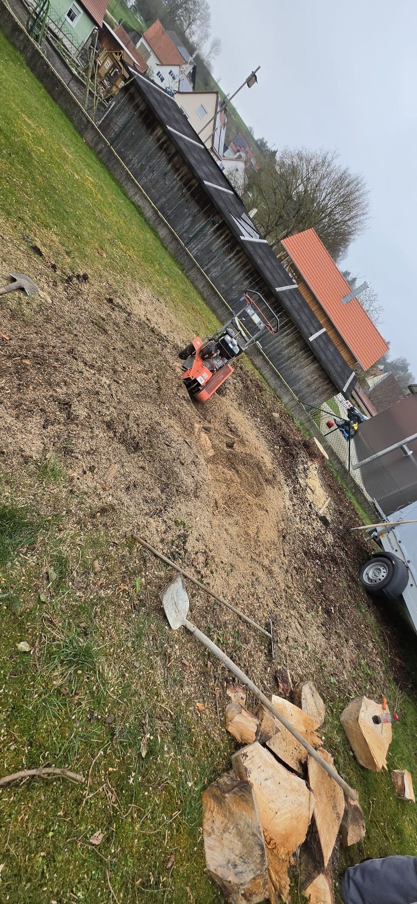 Wurzelbereich vor der Arbeit